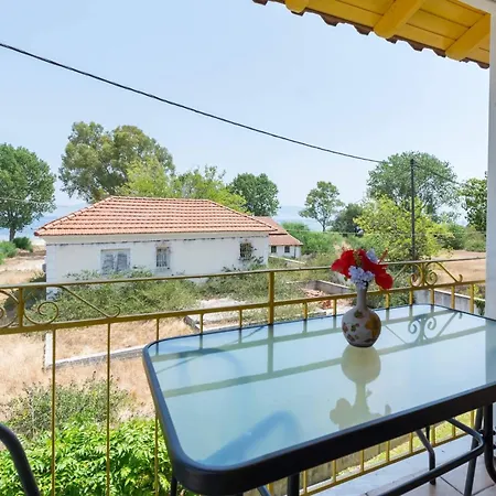 Yellow House *