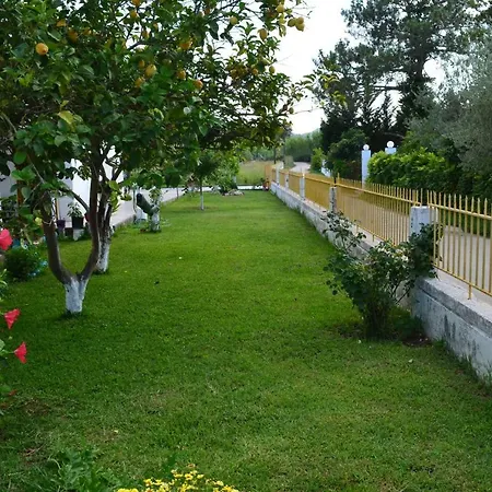 Yellow House *