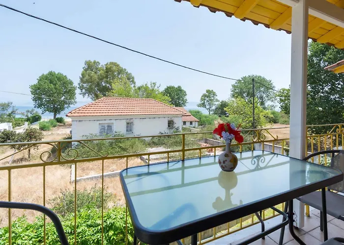 Yellow House *